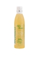 Edificante de Menta y Eucalipto INSPARATION WELLNESS 245ML